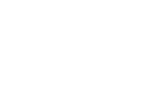 MITsp 2020 Logo