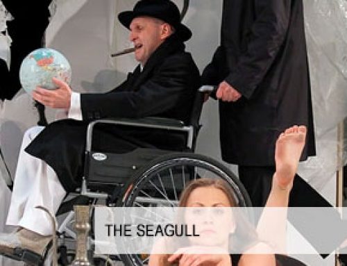 THE SEAGULL